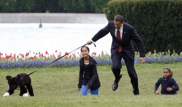 Then-president Barack Obama is almost yanked off his feet as he shows off his family&#x27;s new dog Bo, a six-month-old Portuguese water dog with his daughters Malia, left, and Sasha, right, on the South Lawn of the White House in Washington on 14 April 2009. - Sputnik International