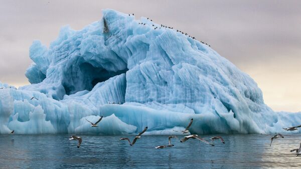 An iceberg in the Tikhaya Bay, Hooker Island, Franz Josef Land archipelago - Sputnik International