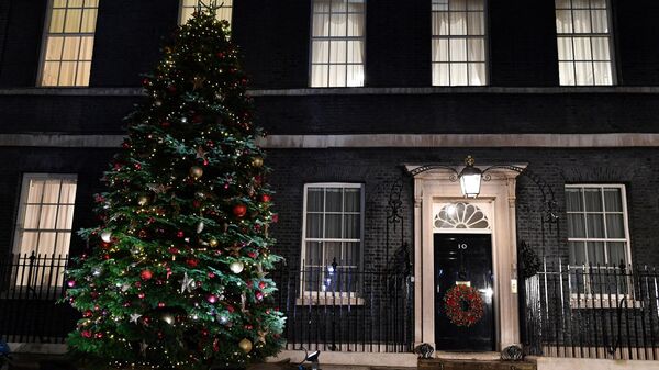 The annual Downing Street Christmas tree is pictured outside 10 Downing Street, in central London on December 1, 2021. (Photo by JUSTIN TALLIS / AFP) - Sputnik International