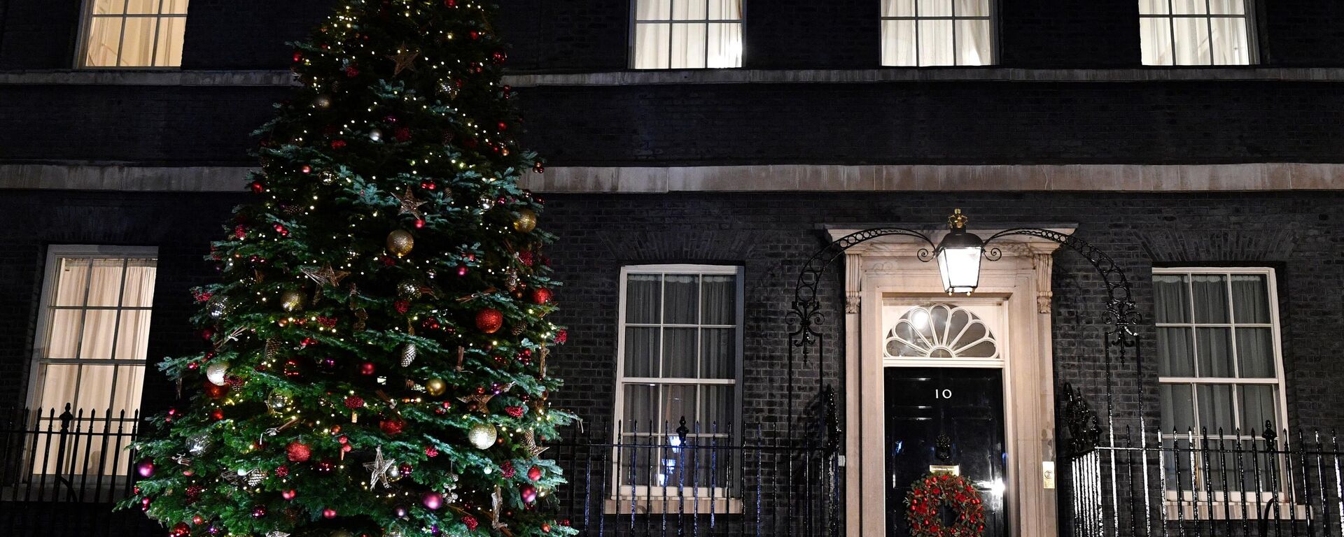The annual Downing Street Christmas tree is pictured outside 10 Downing Street, in central London on December 1, 2021. (Photo by JUSTIN TALLIS / AFP) - Sputnik International, 1920, 18.12.2021