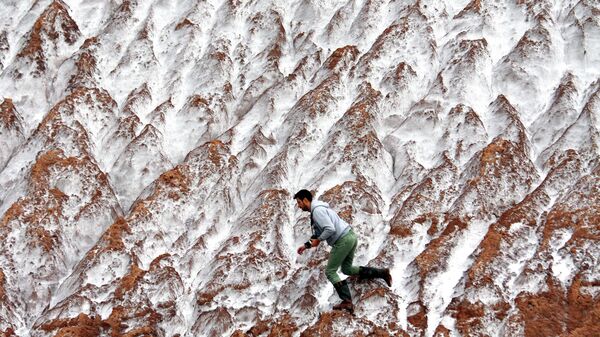  - Sputnik International