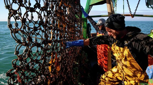 French fishermen work at the net aboard the trawler Le Chant des Sirenes (The Mermaids' song) at the limits of the French-UK waters, off Granville, Normandy, Tuesday, Nov.9, 2021 - Sputnik International