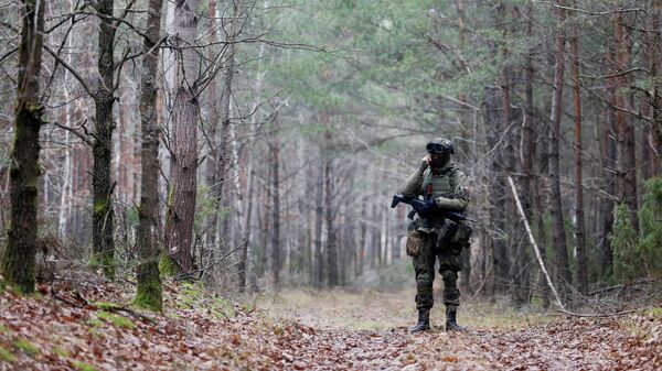 A military stands guard in the woods, close to the Milejczyce village, Poland, November 26 2021 - Sputnik International