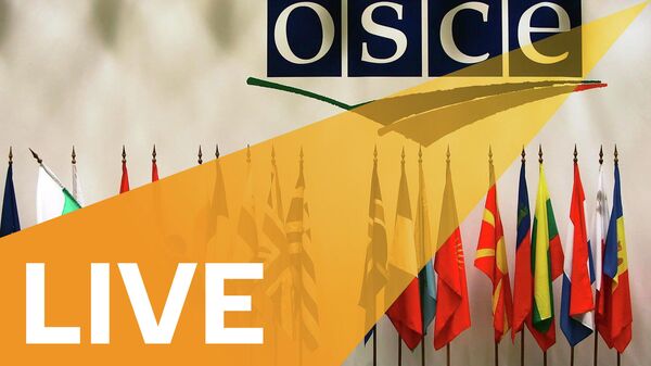 New OSCE Chair Rau and Secretary-General Schmid Hold Joint Presser After Permanent Council Meeting - Sputnik International