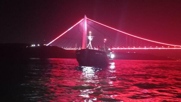 Freighter Breakdown Blocks Turkey's Bosphorus Strait - Sputnik International