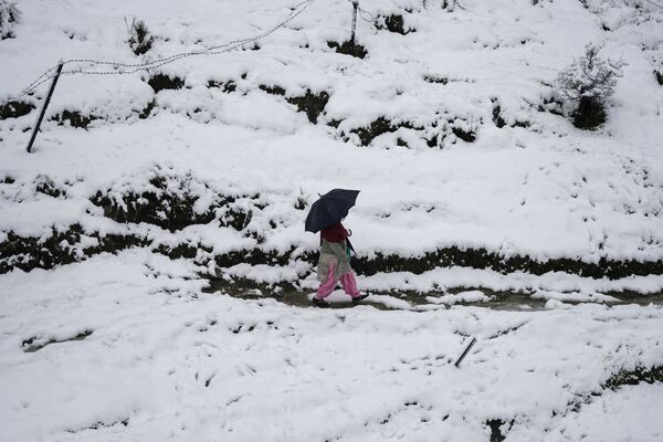 A woman walks through a field covered in fresh snow in Dharmsala, India, Sunday, 23 January 2022. - Sputnik International