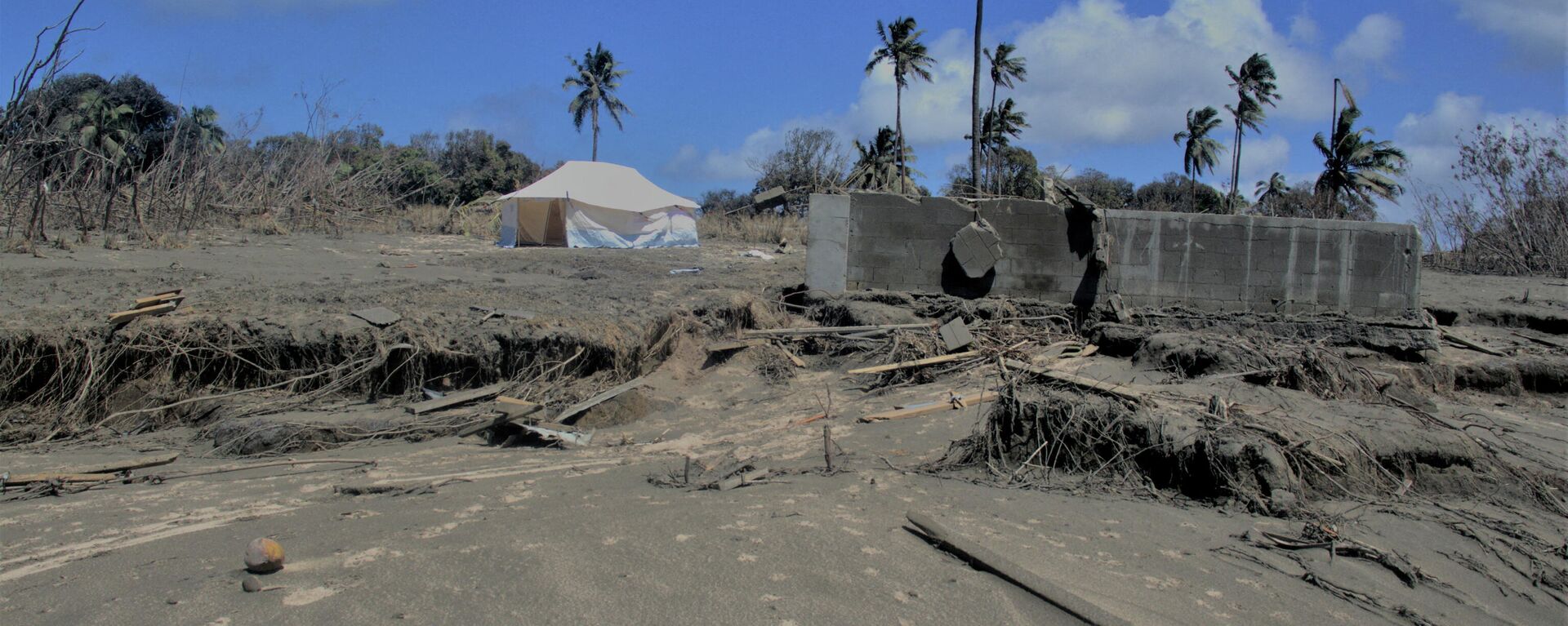 FILE PHOTO: A general view shows damaged buildings and landscape covered with ash following volcanic eruption and tsunami in Kanokupolu, Tonga, January 23,2022 - Sputnik International, 1920, 30.01.2022