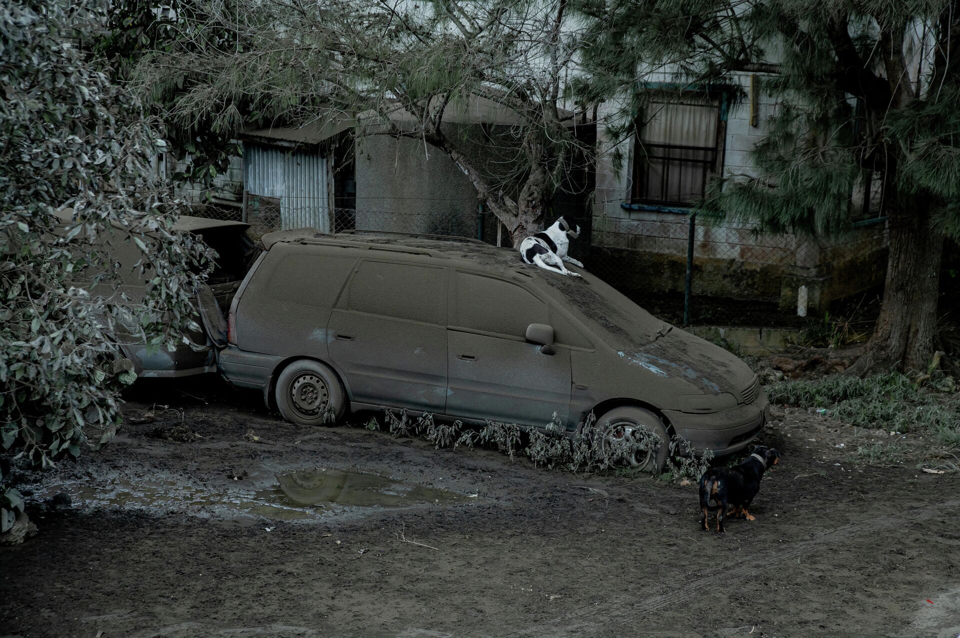 A car covered with ash is seen outside a house following volcanic eruption and Tsunami in Tongatapu, Tonga, January 16, 2022 in this picture obtained from social media. Picture taken January 16, 2022 - Sputnik International, 1920, 30.01.2022