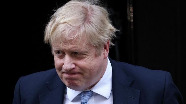 British PM Boris Johnson in Downing Street - Sputnik International