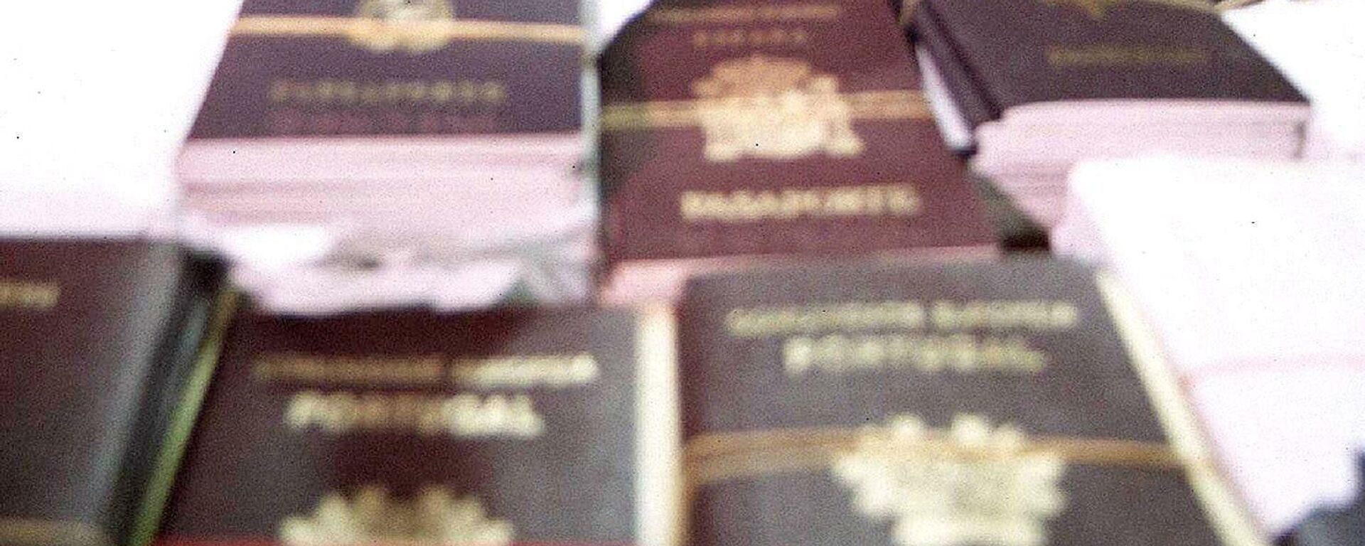 German Heinz Paul Bruggemann, 61, (C) and French Jean-Claude Villechenoux, 46, (L-covering his face) sit next to fake European passports and visa seals at the immigration police bureau in Bangkok, late 16 February 2004.  Villechenoux and Bruggemann have been arrested by Thai immigration police officers for attempting to smuggle out of the country more then 400 fake European passports and visa seals, police said.  AFP PHOTO  (Photo by AFP) - Sputnik International, 1920, 01.02.2022