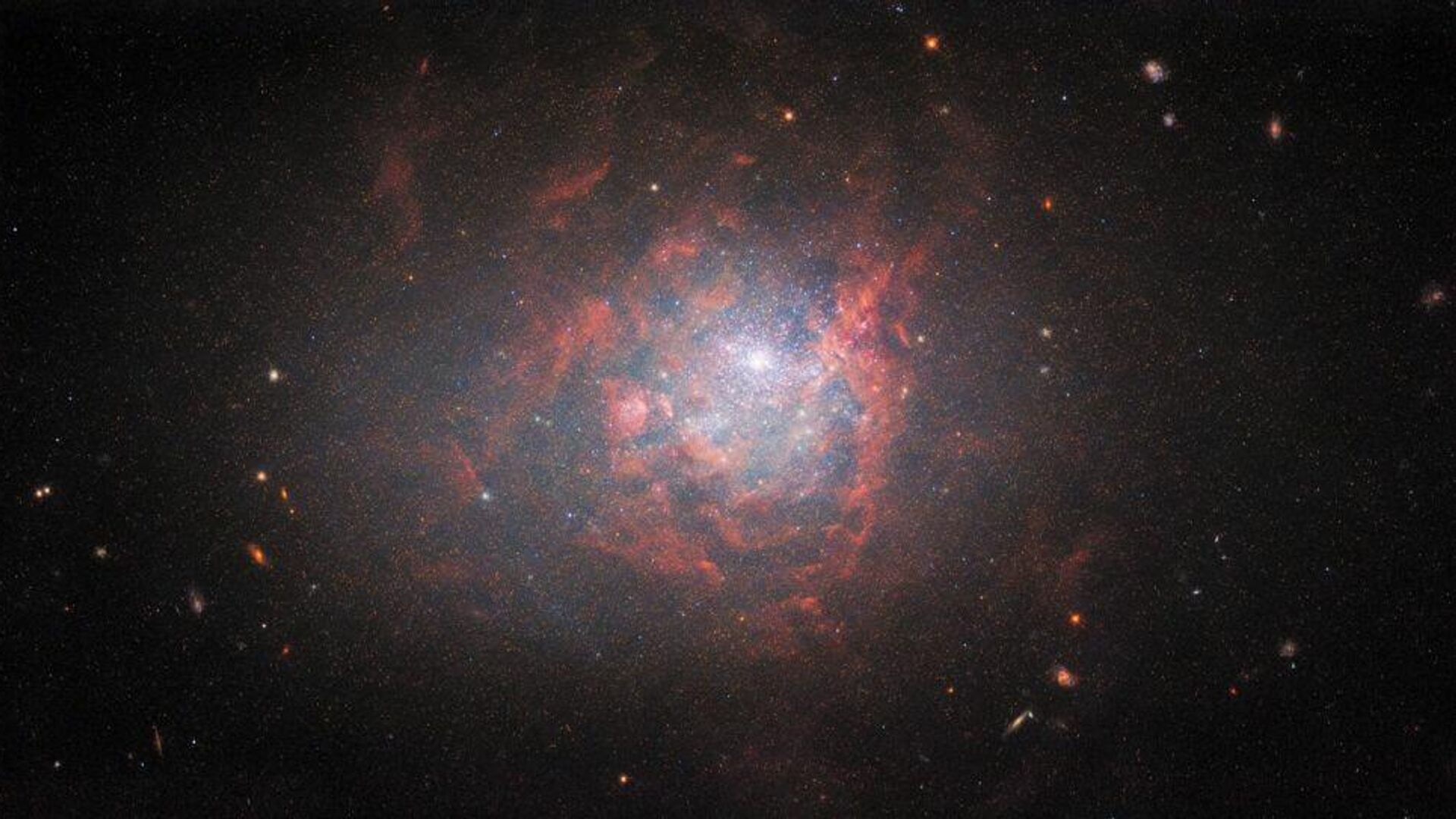 Image of the dwarf galaxy NGC 1705 snapped by the Hubble Space Telescope - Sputnik International, 1920, 01.02.2022
