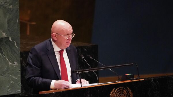 Russian UN Ambassador Vassily Nebenzia  - Sputnik International