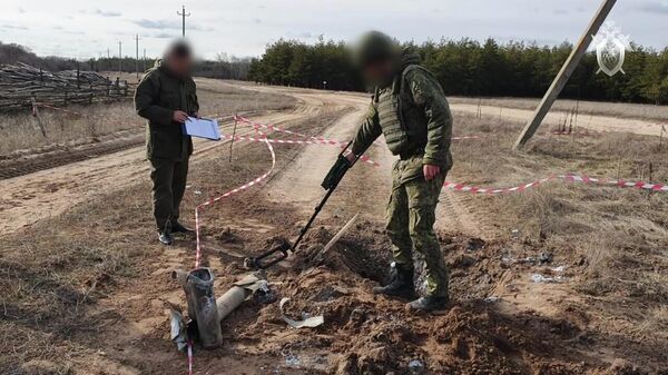 Two Shells From Ukrainian Territory Hit Russia's Rostov Region - Sputnik International