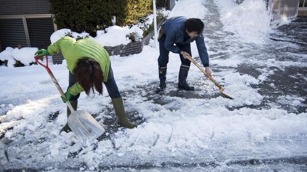 Residents shovel snow outside their house in the Meguro ward of Tokyo on January 23, 2018, the morning after a heavy snowfall - Sputnik International