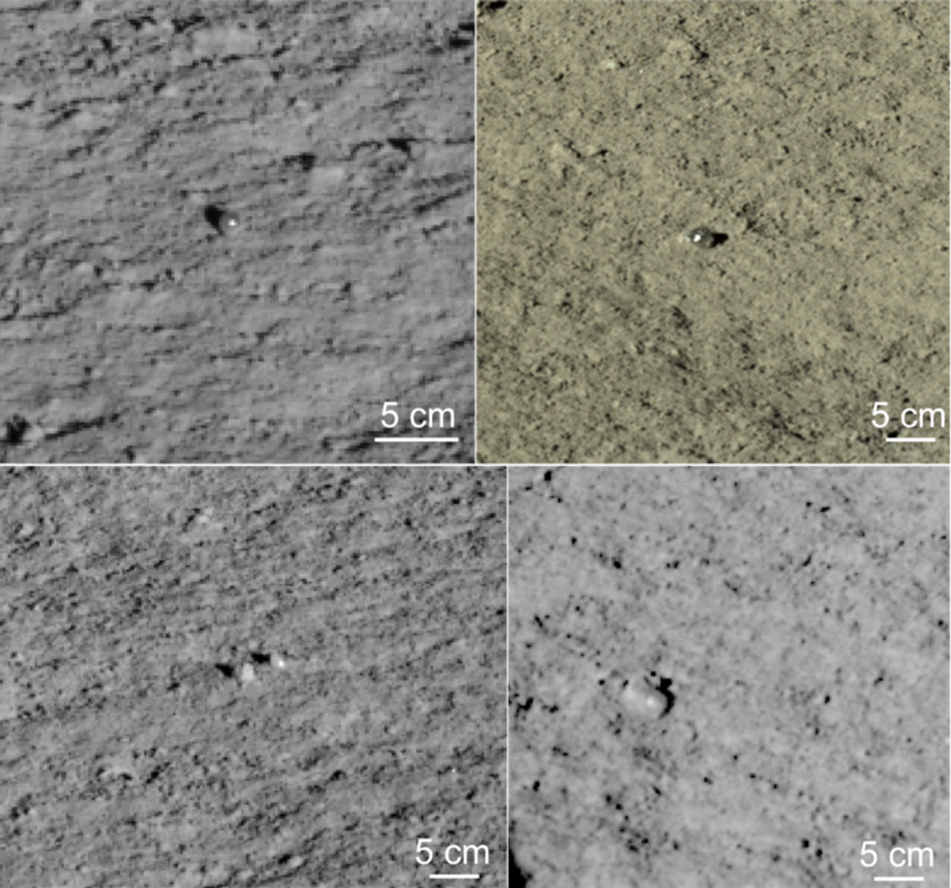 Two confirmed (upper row) and two possible (bottom row) glass globules found along the route of Yutu-2 - Sputnik International, 1920, 25.02.2022