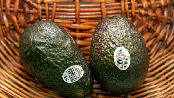 Avocados from Mexico sit in a basket in Rutherford, New Jersey, on Thursday, February 17, 2022. - Sputnik International