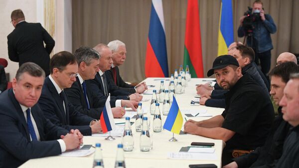 Negotiations between Russia and Ukraine in the Gomel region - Sputnik International