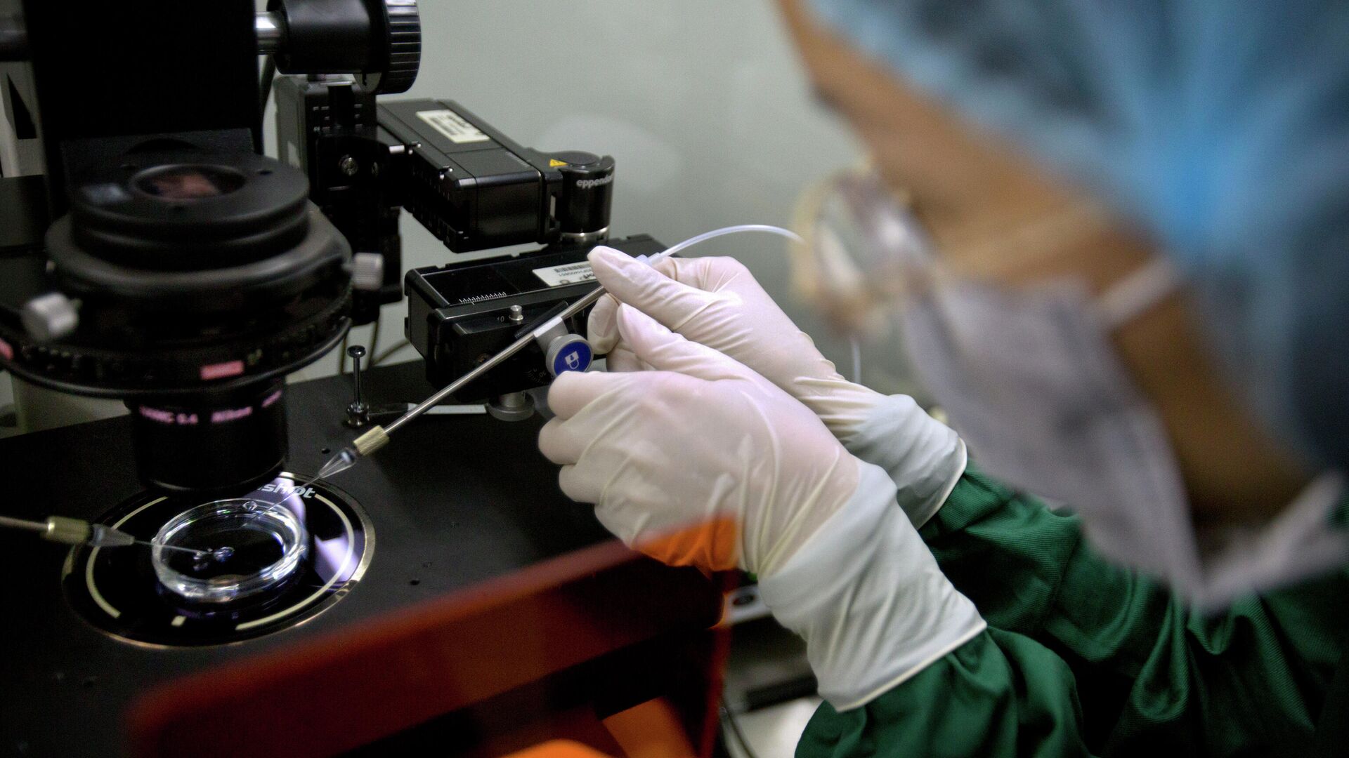 FILE - In this Oct. 9, 2018, file photo, Zhou Xiaoqin installs a fine glass pipette into a sperm injection microscope in preparation for injecting embryos with Cas9 protein and PCSK9 sgRNA at a lab in Shenzhen in southern China's Guandong province - Sputnik International, 1920, 01.03.2022