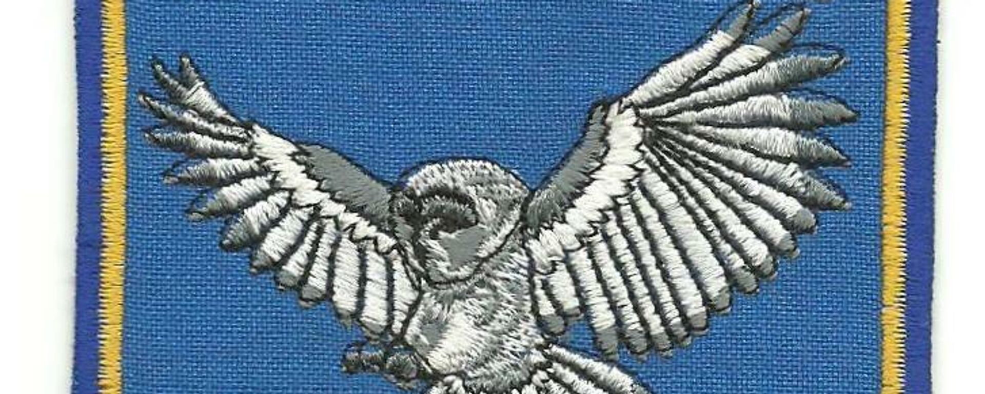 72nd Center for Information and Psychological Operations. Chevron formation 72nd Center for Information and Psychological Operations. Chevron formation - Sputnik International, 1920, 01.03.2022