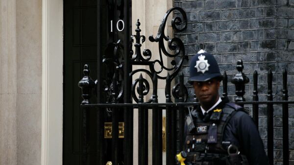 A police officer stands outside the door of 10 Downing Street in London, Tuesday, Feb. 22, 2022 - Sputnik International