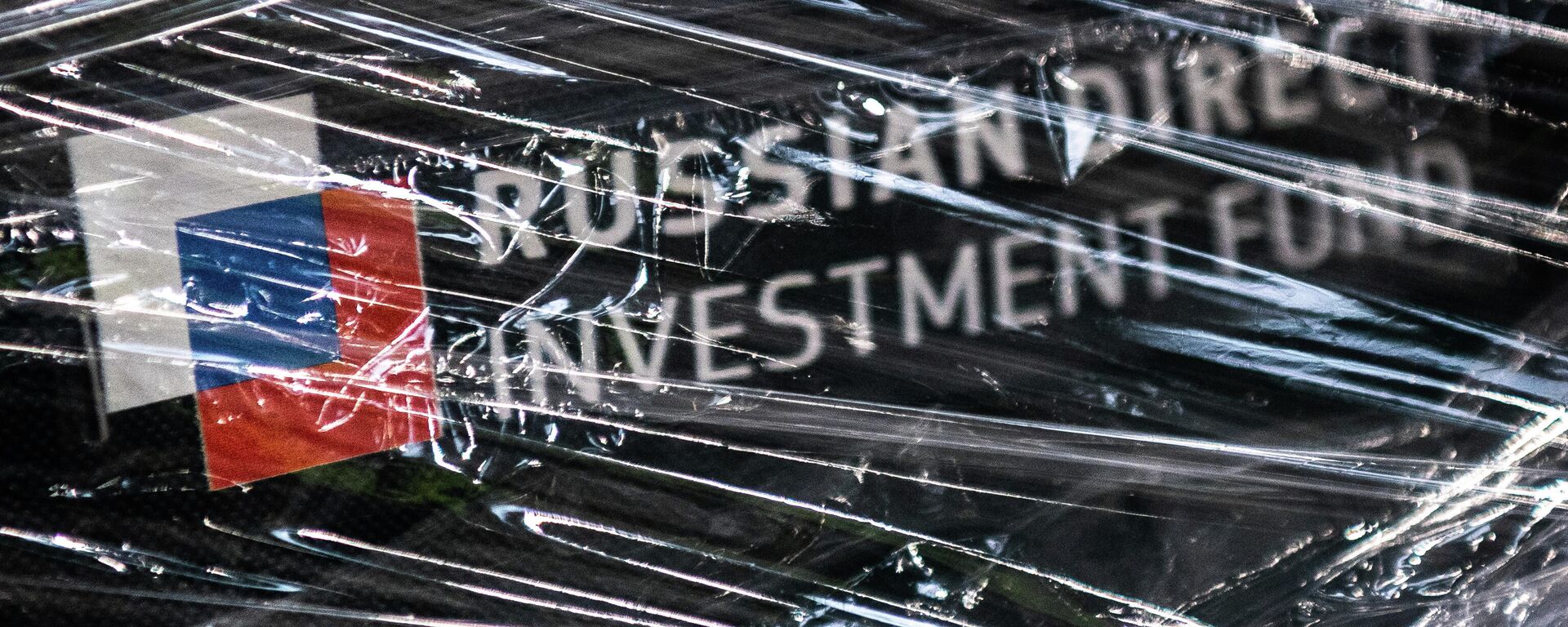 Russian Direct Investment Fund logo - Sputnik International, 1920, 19.06.2025