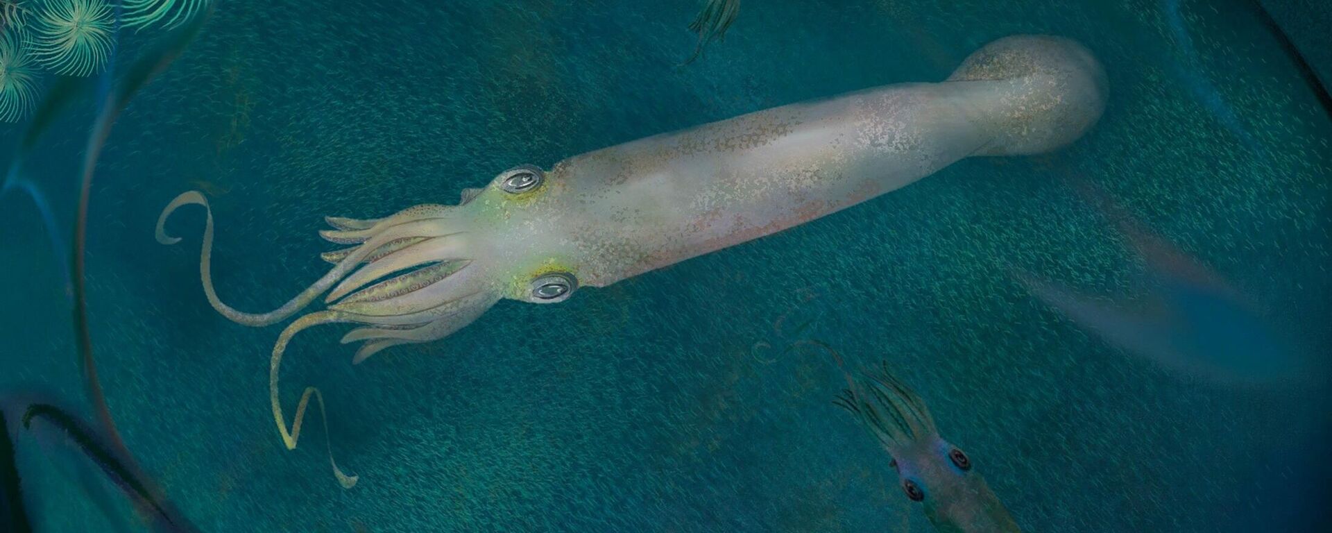 Artistic reconstruction of the cephalopod species Syllipsimopodi bideni, whose fossil was discovered in Montana, inhabiting a marine environment beneath a tropical bay 328 million year old during the Carboniferous Period - Sputnik International, 1920, 09.03.2022