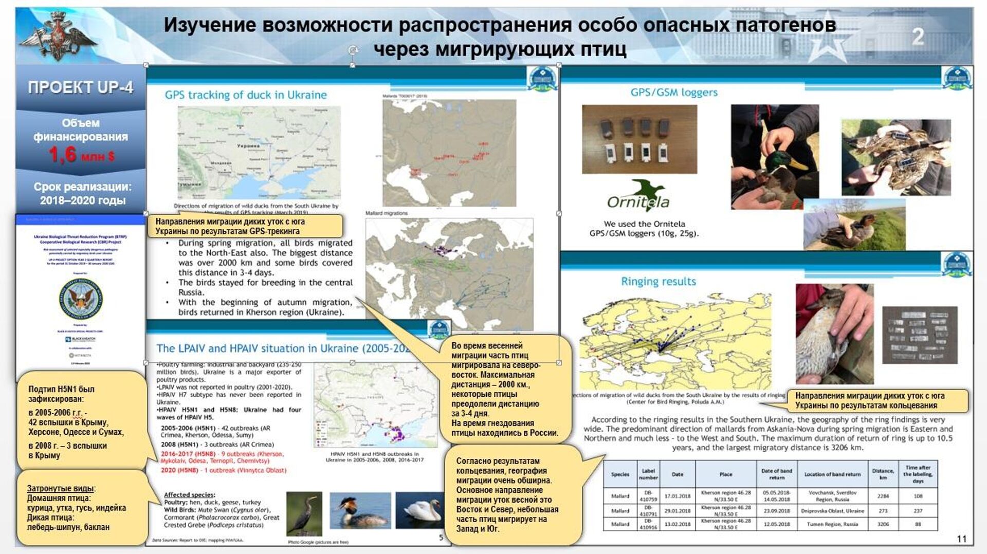 Study of the possibility of spreading especially dangerous pathogens through migratory birds - Sputnik International, 1920, 10.03.2022