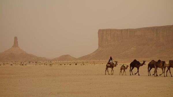 Saudi Arabian desert - Sputnik International