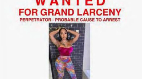 Screenshot of the wanted poster featuring Instagram influencer Eva Lopez that was reportedly released by the New York Police Department (NYPD) by mistake - Sputnik International