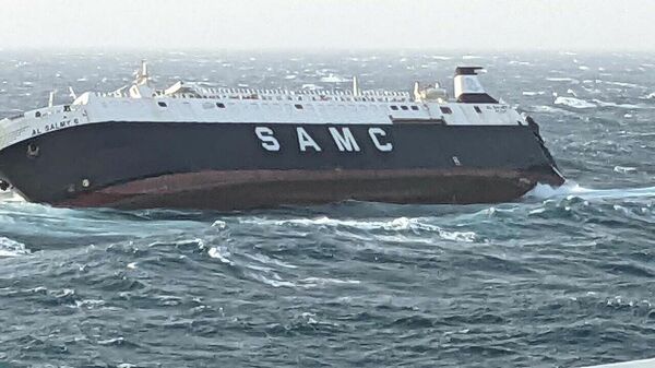 UAE ship in distress off the coast of Iran - Sputnik International