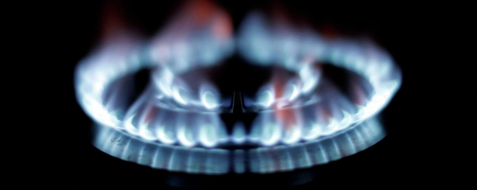 Flames from a gas burner on a cooker are seen February 1, 2017 in this illustration photo taken in a private home in Nice, France.  Picture taken February 1, 2017 - Sputnik International, 1920, 28.03.2022