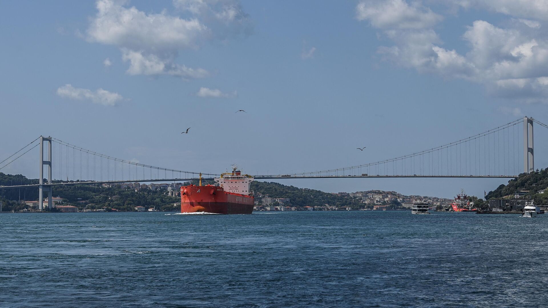A commercial vessel sails under the 15 July Martyrs Bridge, aka the Bosphorus Bridge, on the Bosphorus strait on July 23, 2021 in Istanbul.  - Sputnik International, 1920, 22.03.2022