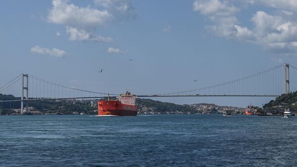 A commercial vessel sails under the 15 July Martyrs Bridge, aka the Bosphorus Bridge, on the Bosphorus strait on July 23, 2021 in Istanbul.  - Sputnik International