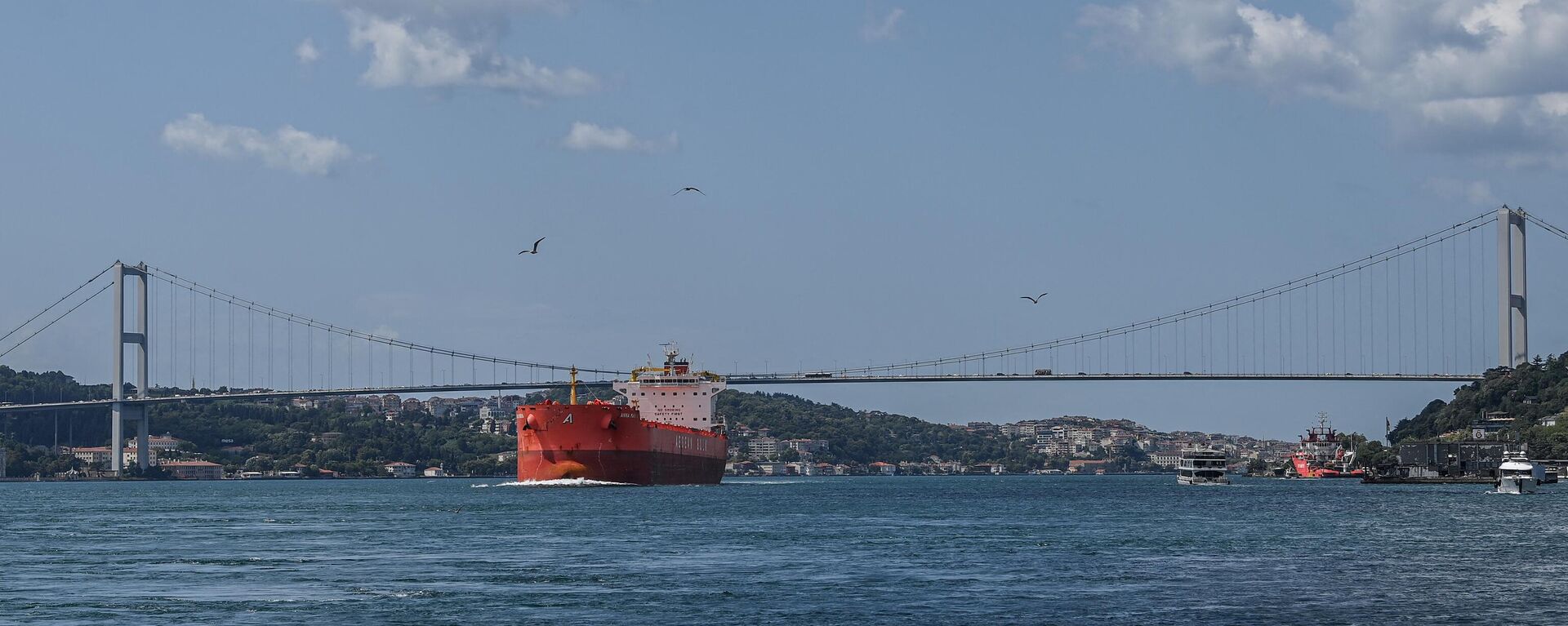 A commercial vessel sails under the 15 July Martyrs Bridge, aka the Bosphorus Bridge, on the Bosphorus strait on July 23, 2021 in Istanbul.  - Sputnik International, 1920, 27.03.2022