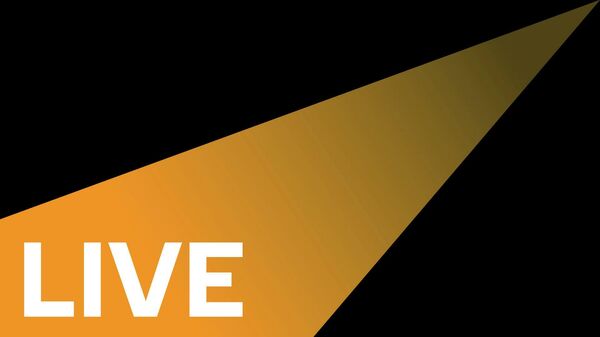 Russian FM Lavrov Holds Press Conference After Talks With Indian Counterpart Jaishankar in New Delhi - Sputnik International