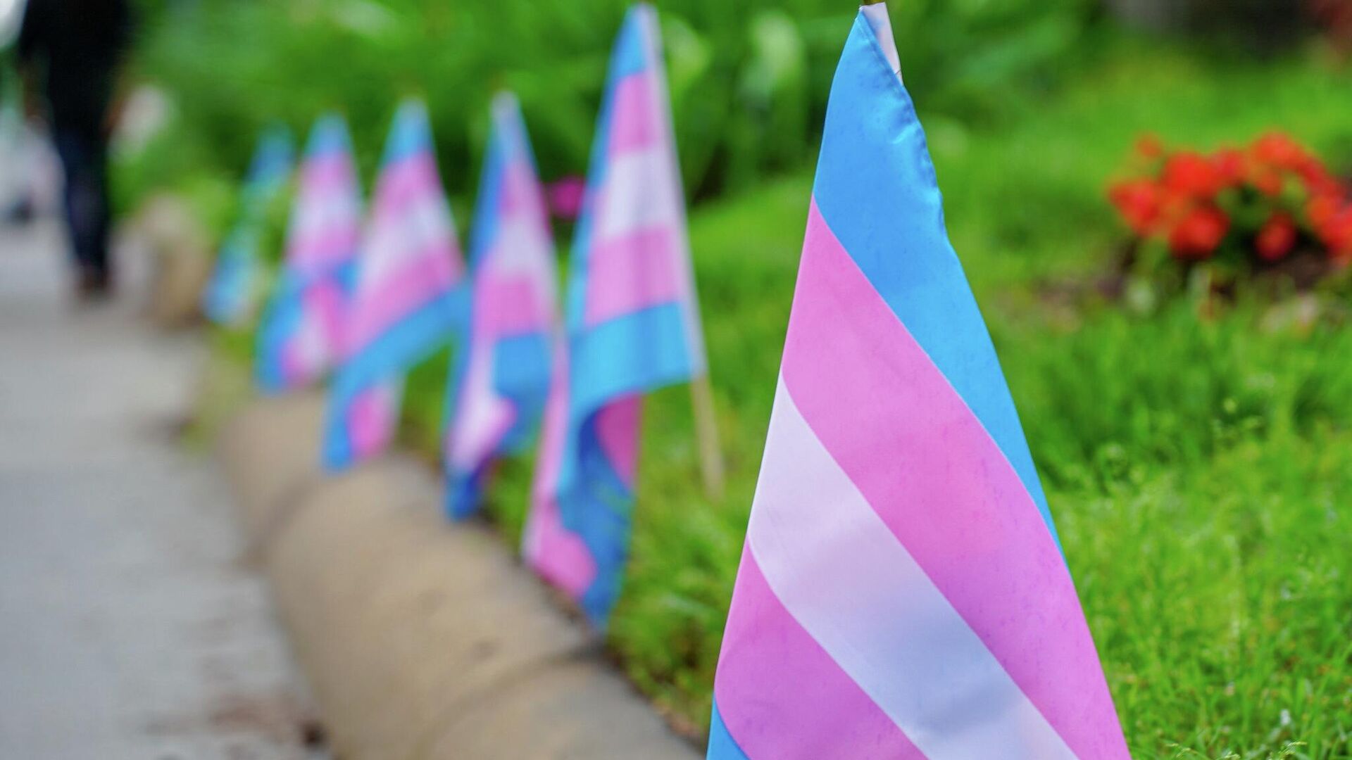 Transgender pride flags - Sputnik International, 1920, 19.09.2022