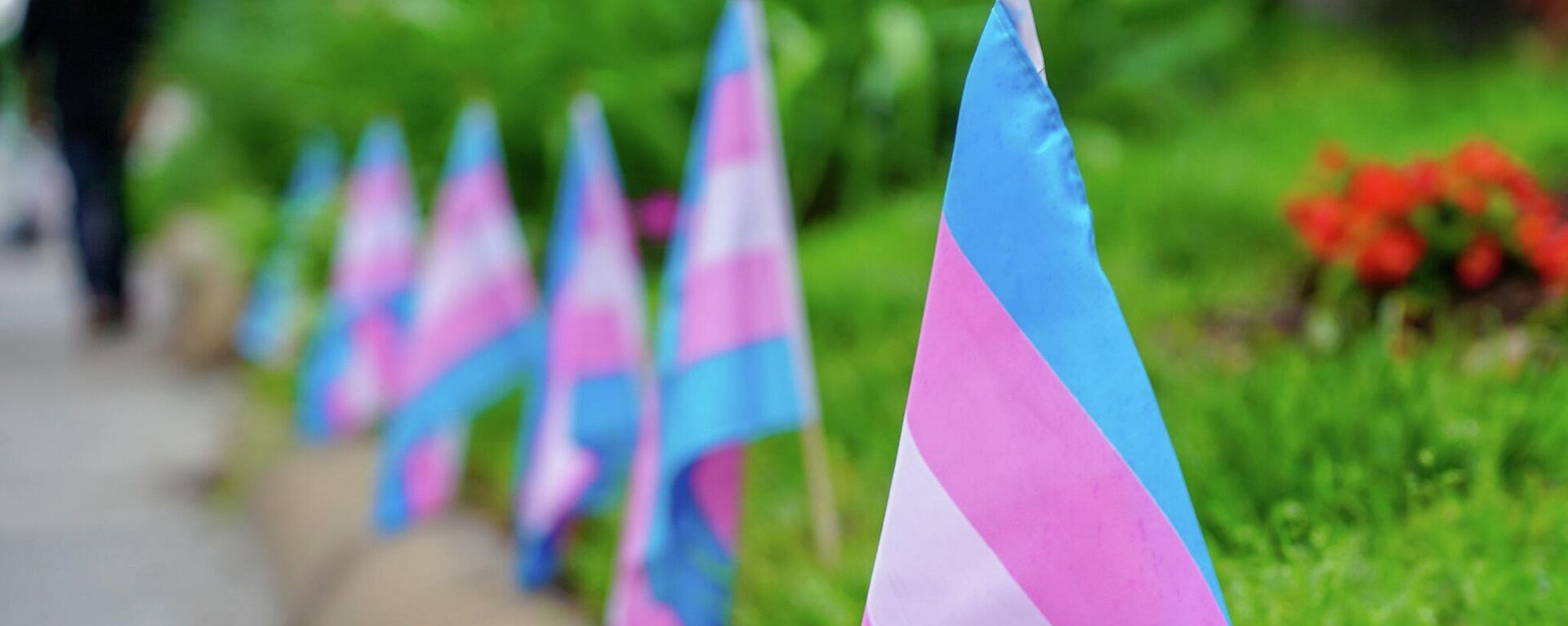 Transgender pride flags - Sputnik International, 1920, 26.07.2022