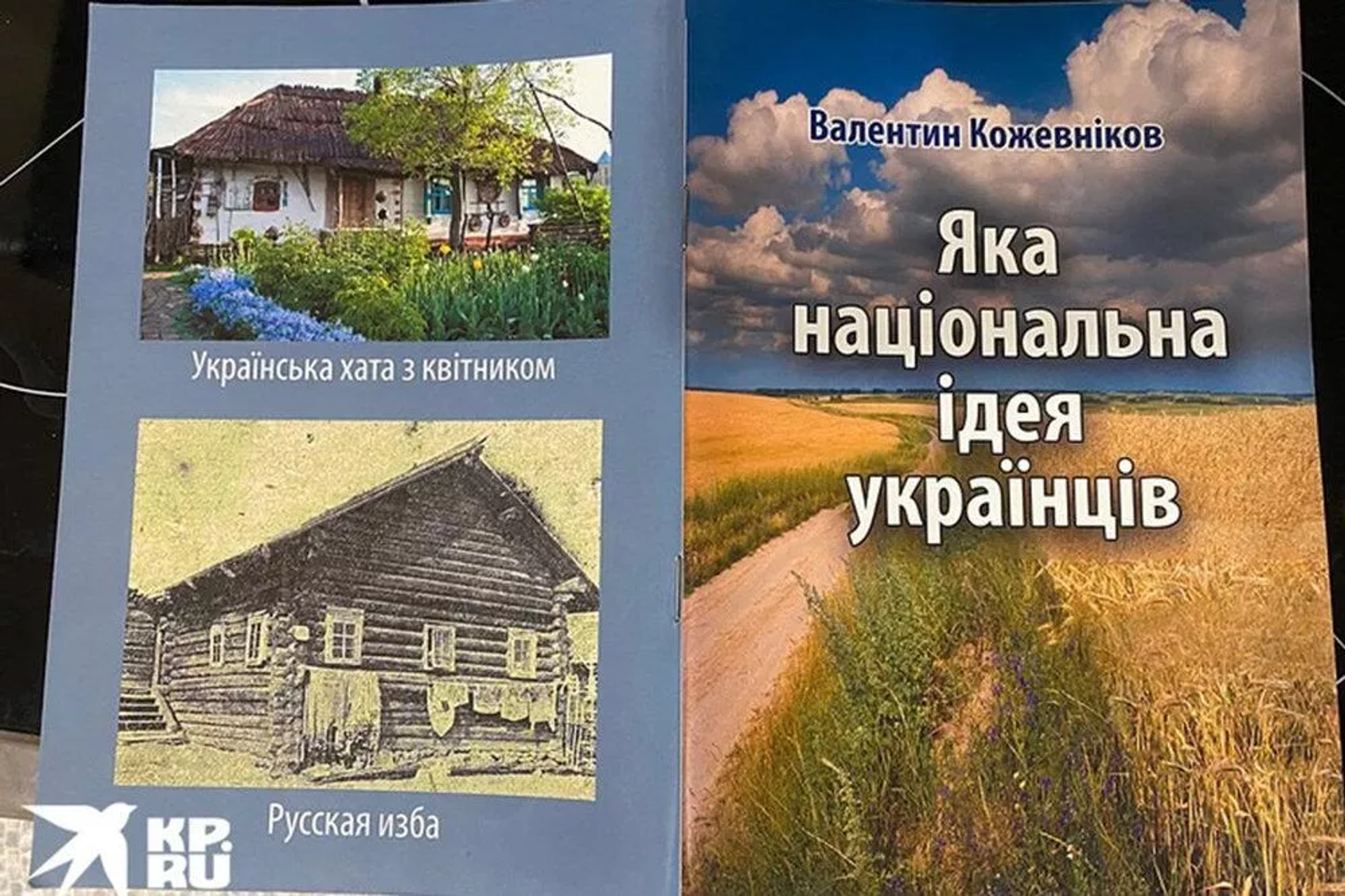 ‘What is the National Idea of the Ukrainians’ brochure, by Valentin Kozhevnikov. - Sputnik International, 1920, 10.04.2022