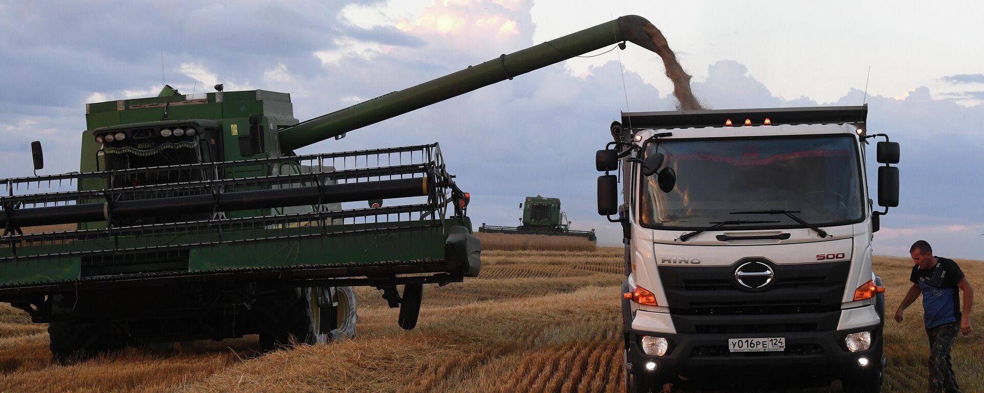 Wheat harvesting on the field of Russian JSC Solgon in the vicinity of the village of Solgon, Krasnoyarsk Territory.  - Sputnik International, 1920, 12.04.2022