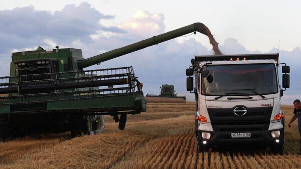 Wheat harvesting on the field of Russian JSC Solgon in the vicinity of the village of Solgon, Krasnoyarsk Territory.  - Sputnik International