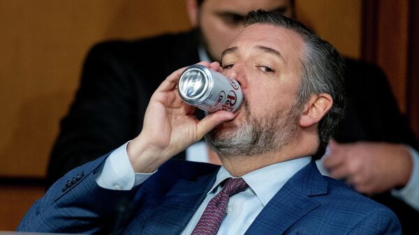 Sen. Ted Cruz, R-Texas, after questioning Supreme Court nominee Ketanji Brown Jackson during her Senate Judiciary Committee confirmation hearing on Capitol Hill in Washington, Wednesday, March 23, 2022.  - Sputnik International