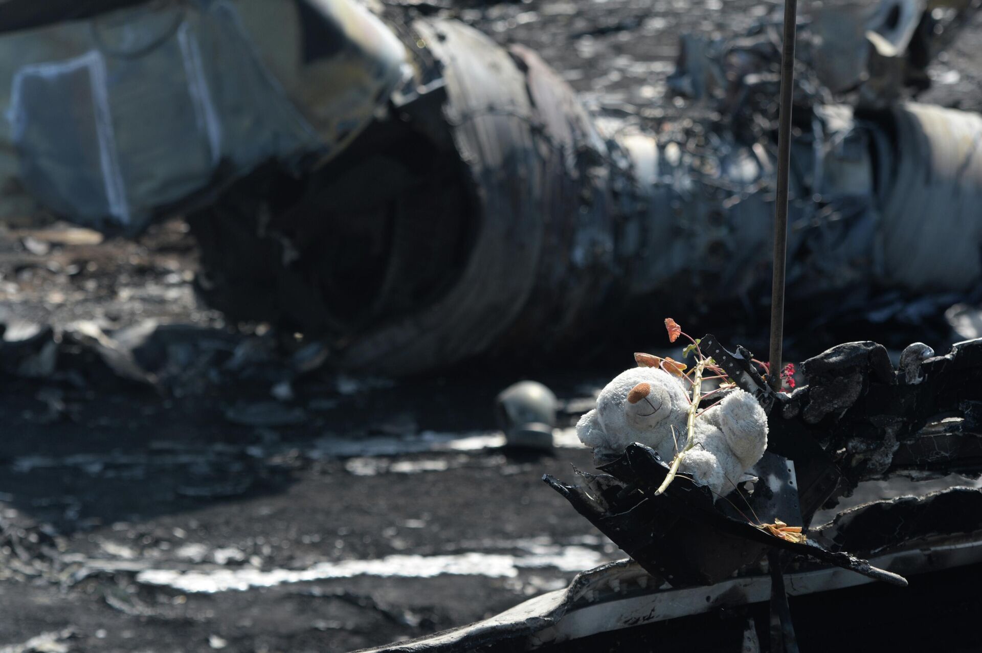Plush bear at the crash site of Malaysia Airlines Boeing 777 near the village of Grabovo in Donetsk. July 2014. - Sputnik International, 1920, 16.04.2022