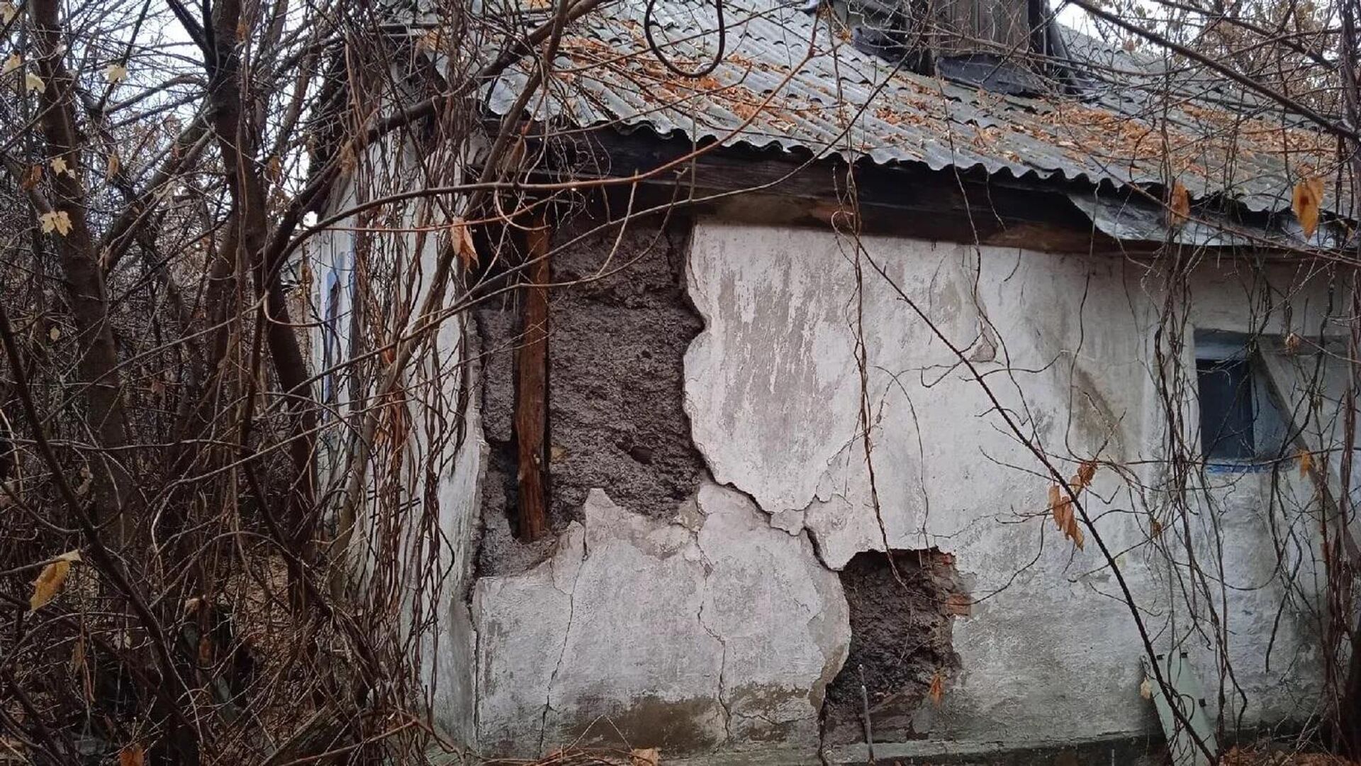 The house of Donetsk pet volunteer Galina Kondrashova, which was hit by a Ukrainian shell. - Sputnik International, 1920, 03.05.2022