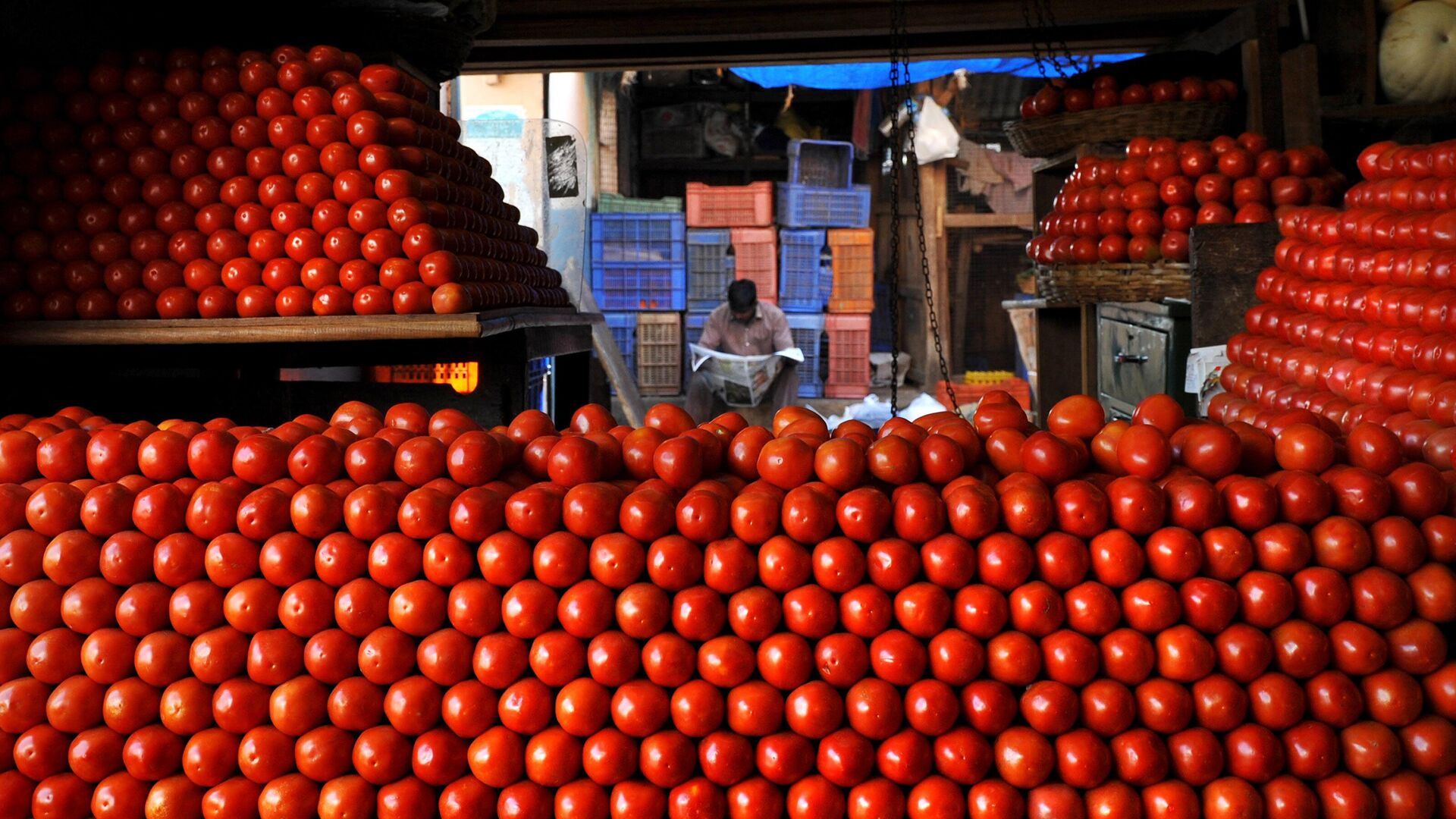 An Indian vegatable vendor awaits customersbehind stacks of tomatoes at a market in Bangalore on February 26, 2010 - Sputnik International, 1920, 05.05.2022