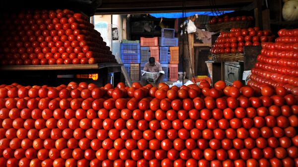 An Indian vegatable vendor awaits customersbehind stacks of tomatoes at a market in Bangalore on February 26, 2010 - Sputnik International