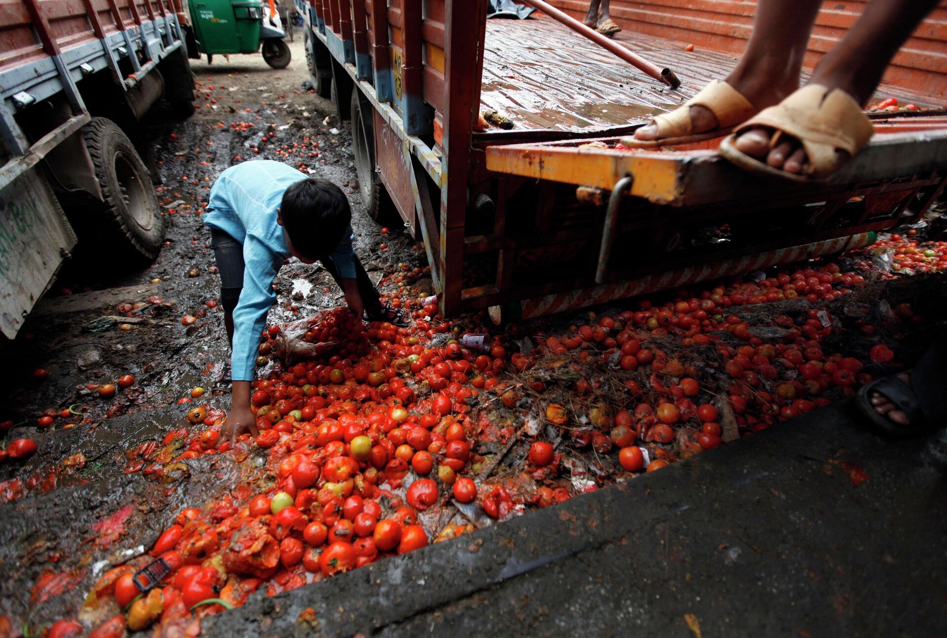 A child picks up rotten tomatoes , New Delhi, India (File) - Sputnik International, 1920, 14.11.2022