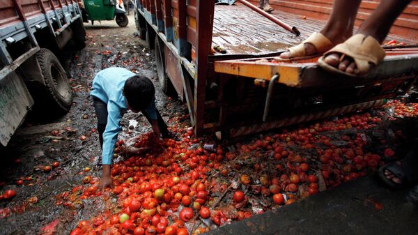 A child picks up rotten tomatoes , New Delhi, India (File) - Sputnik International