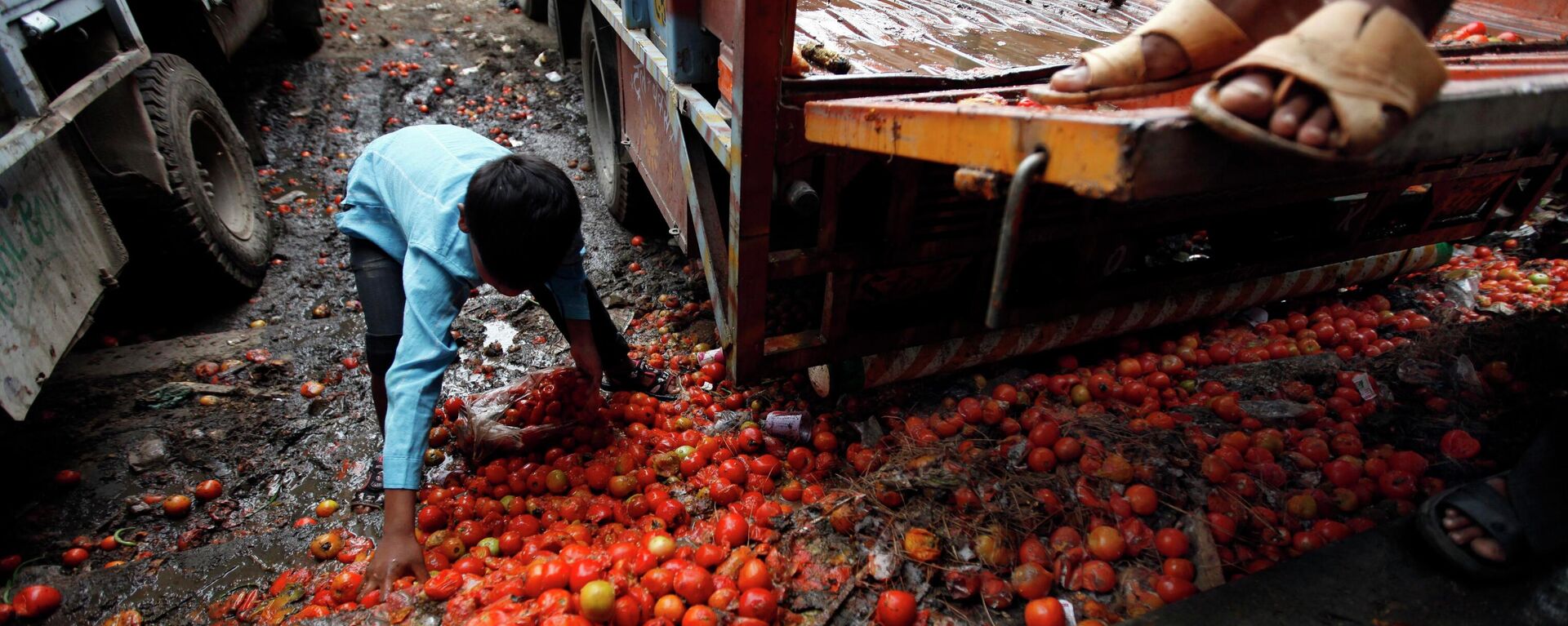 A child picks up rotten tomatoes , New Delhi, India (File) - Sputnik International, 1920, 30.12.2022
