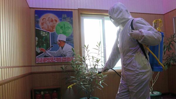 An official of the Hygienic and Anti-epidemic Center in Phyongchon District disinfect the corridor of a building in Pyongyang, North Korea, on Feb. 5, 2021. - Sputnik International