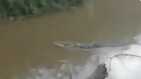 Fisherman killed in Crocodile Attack in Indonesia - Sputnik International